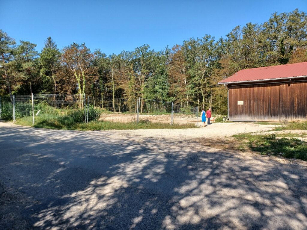 20230908 111619 resized